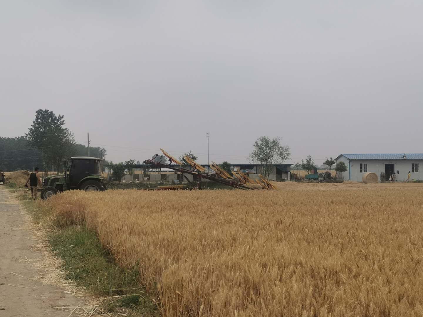 点击放大图片 全力做好秸秆禁烧及综合利用工作