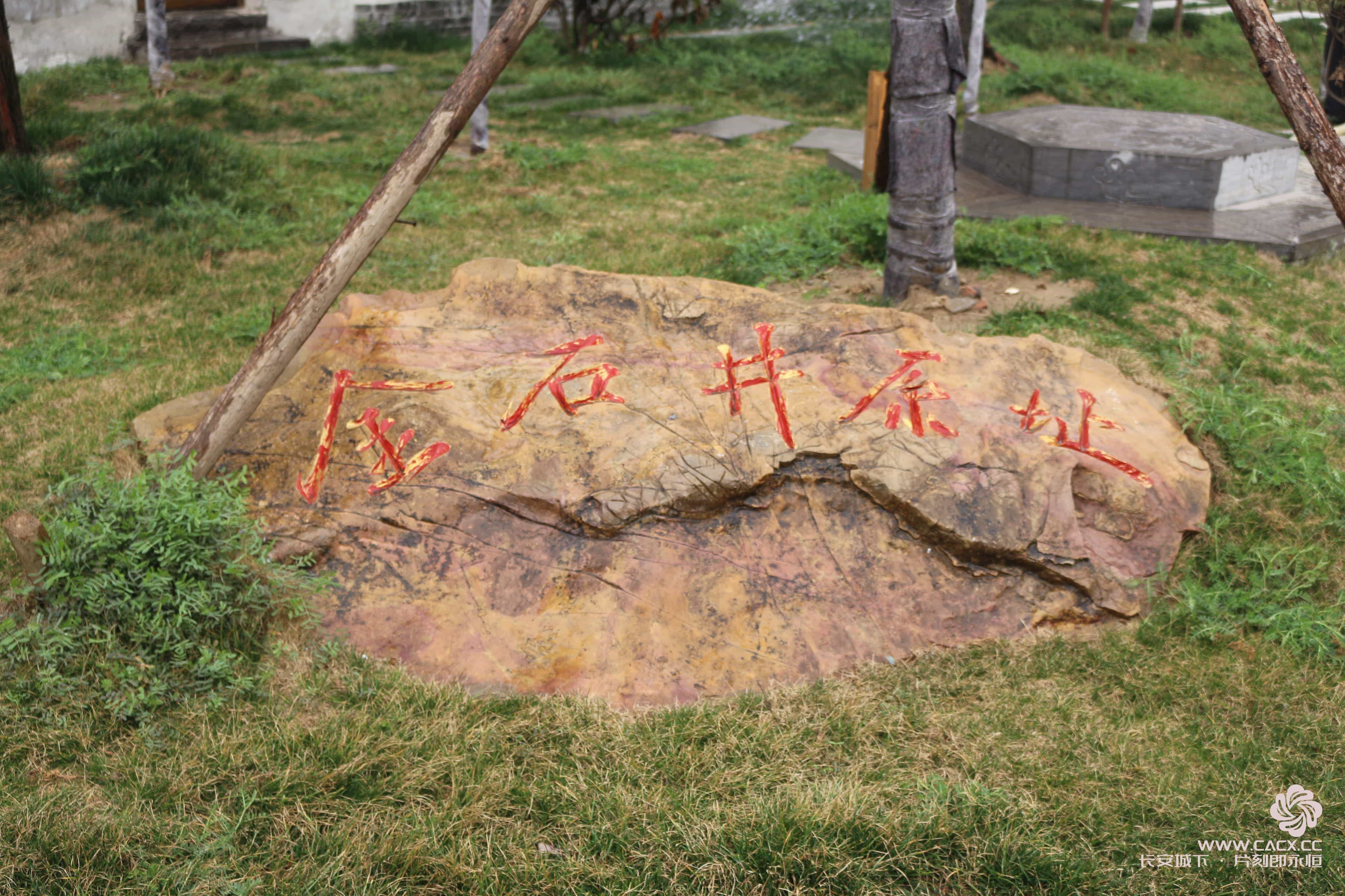 点击放大图片 《阚疃金石中学》 · 美丽的校园