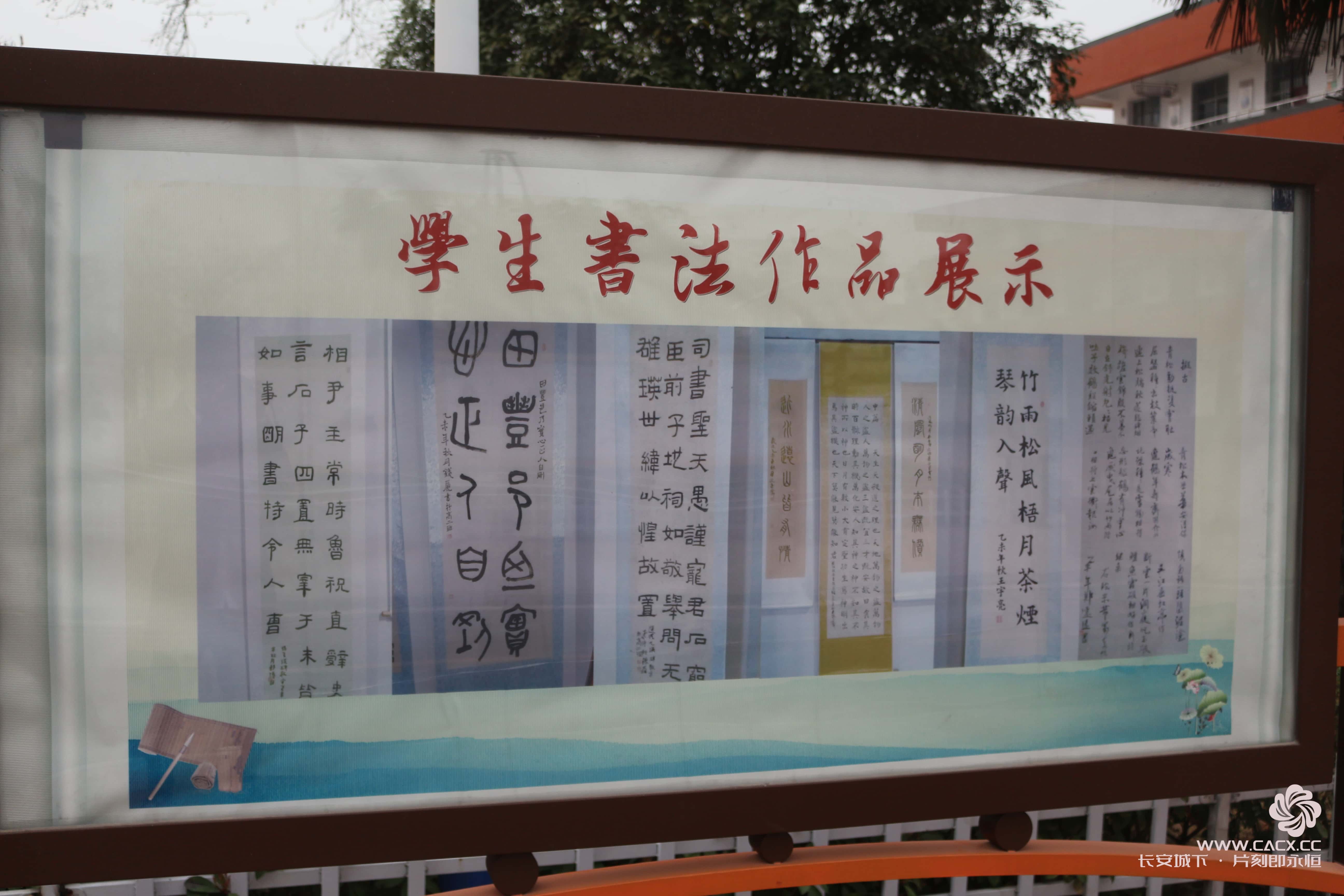 点击放大图片 《阚疃金石中学》 · 美丽的校园