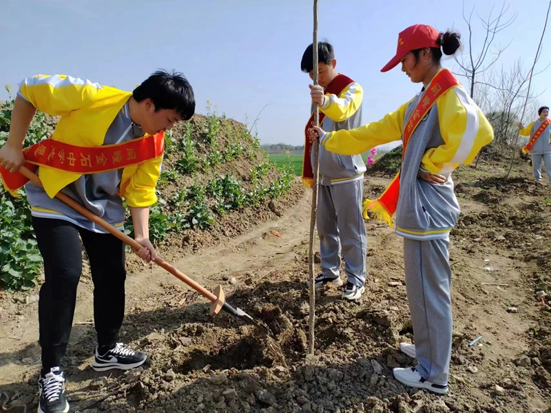 点击放大图片 “学习雷锋讲奉献 义务植树绿家园”志愿者活动 · 阚疃金石中学