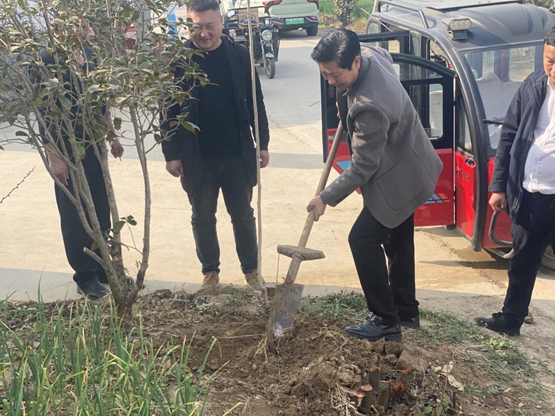 点击放大图片 “小庭院”激发乡村振兴新动力