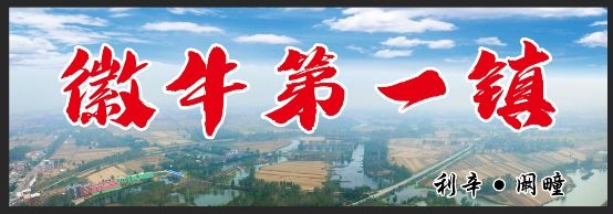 点击放大图片 “徽牛第一镇”建设启动工作会 全力打造特色养殖品牌